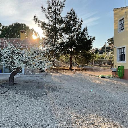 La Antigua Casa Del Astronomo Casa Rural Ricote ภายนอก รูปภาพ