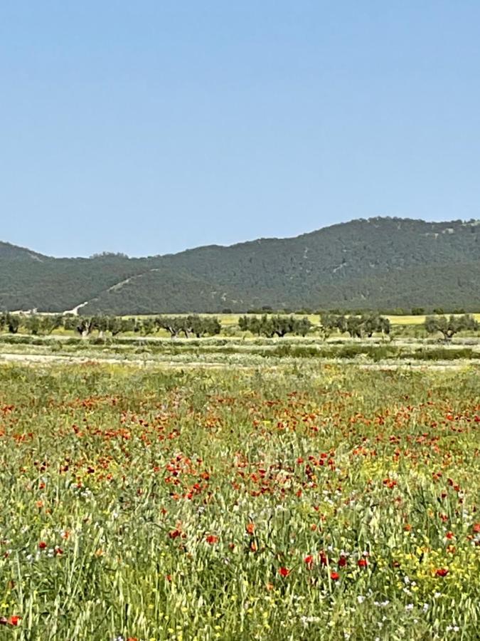 La Antigua Casa Del Astronomo Casa Rural Ricote ภายนอก รูปภาพ