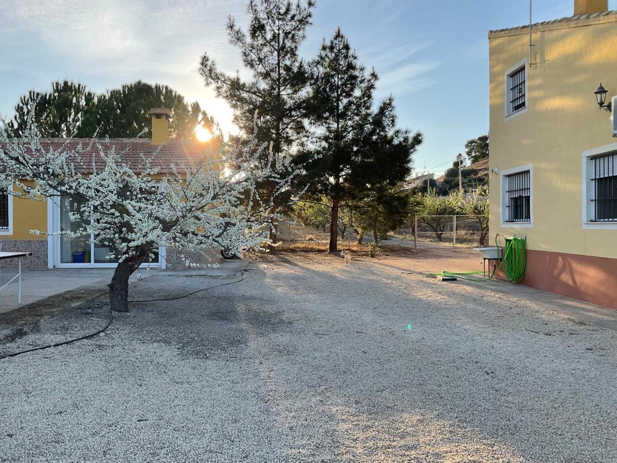 La Antigua Casa Del Astronomo Casa Rural Ricote ภายนอก รูปภาพ